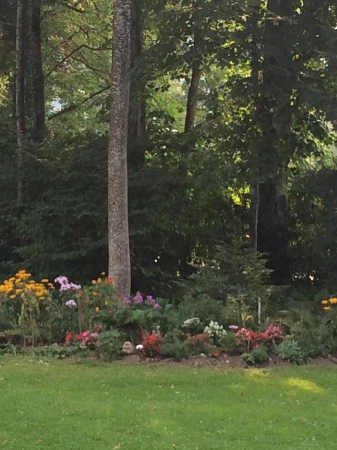 Fewo Schlosspark Grubhof Sankt Martin bei Lofer Exteriör bild