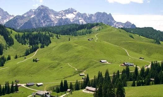 Fewo Schlosspark Grubhof Sankt Martin bei Lofer Exteriör bild